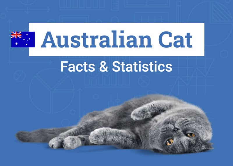 Australian Cat Statistics
